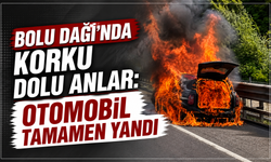 TEM'de alevlere teslim olan otomobil kullanılamaz hale geldi