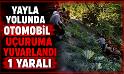 Yayla yolunda otomobil uçuruma yuvarlandı!