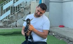 Pet shopa yem almaya giden çift, doğuştan yürüme engelli keçi yavrusunu sahiplendi