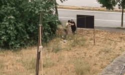 Tartıştığı amcasını palayla öldürdü