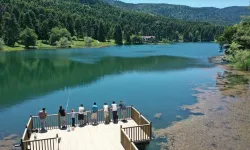 Bolu, Türkiye'nin en yeşil 4'üncü ili oldu