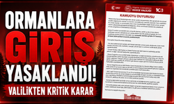 Ormanlara Giriş Yasaklandı! Valilikten Kritik Karar