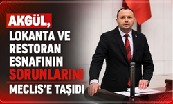 Akgül, Lokanta ve Restoran Esnafının Sorunlarını Meclis'e Taşıdı