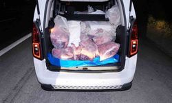 Mide bulandıran görüntü yüzlerce kilo yakalandı