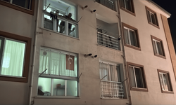Sokağı saran ağır koku acı gerçeği ortaya çıkardı