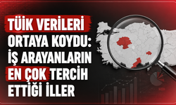 İş Fırsatı İçin En Çok Tercih Edilen Şehirler Açıklandı: İstanbul Zirvede