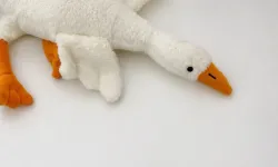 Türkiye’de peluş kaz'ın satışı yasaklandı evinizde varsa hemen kaldırın