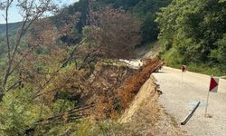 Bolu'da heyelan nedeniyle Taşkesti-Abant yolu 1 aydır kapalı