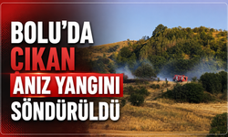 Bolu'da çıkan anız yangını söndürüldü