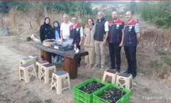 Bolu’da organik aronya hasadı başladı