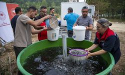 Bolu’da üretilen balıklar, Ankara’ya salınacak