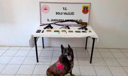 Bolu’da silah ve mühimmat operasyonu: 1 tutuklama