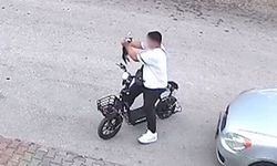 Bolu'da bir cani, yavru kediyi boğarak öldürdü