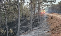 Bolu’da kırmızı alarm verildi Risk en üst seviyede!