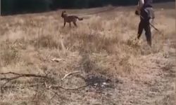 Bolu’da kayıp Alzheimer hastası aranıyor