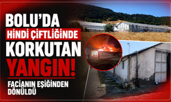 Bolu'da hindi çiftliğinde korkutan yangın: Facianın eşiğinden dönüldü