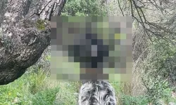 Mezarlıkta bir kişi ölü bulundu