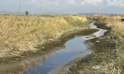 Su ve koku sorunu meclise taşındı