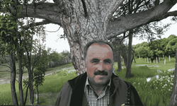 Üzerine ağaç devrilen vatandaş hayatını kaybetti