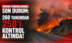 Orman yangınlarında son durum: 260 yangından 258'i kontrol altında!