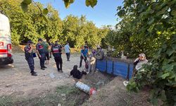 Fındık hasadında facia: 18 kişi yaralandı!