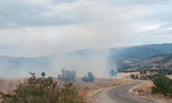 Bolu’da arazi yangını ormanlık alana ulaşmadan söndürüldü