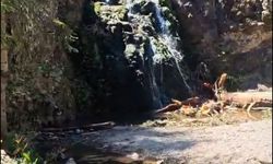 Bolu’nun doğa harikası çöplüğe döndü