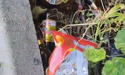 Bolu’da sokak alkoliklerin mekanı haline geldi!