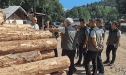 Bolu’da ormancılık faaliyetlerine saha denetimi