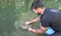 Günde 5 gram altın topluyor! İşte en verimli iki ilçe