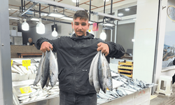 İnanılmaz ama gerçek palamut sadece 50 lira