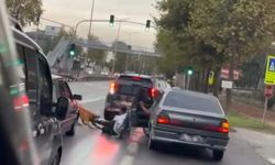Köpek dehşeti, vatandaşı bacağından ısırdı!