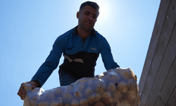 Tarlada kilogramı 24 ila 28 liradan alıcı bulan patates tüketiciye 40-45 liradan ulaşıyor