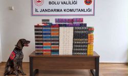 Yolcu otobüslerinde kaçak tütün operasyonu