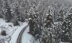 Bolu’nun Yüksek Kesimleri Beyaza Büründü!