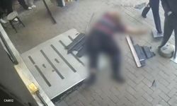 Kediyi kurtarmak isterken, hayatını kaybetti