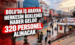 Bolu’da İş Arayanlara Müjde! 320 İlanda Yüzlerce Personel Aranıyor