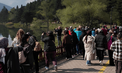 Türkiye'nin dört bir yanından Bolu'ya geldiler: Gölcük hayran bıraktı