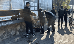 İş görüşmesine giderken bayılıp başından yaralandı