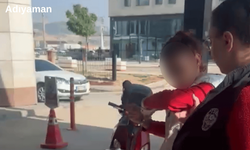 Kediye taşla vuran kadın yakalandı