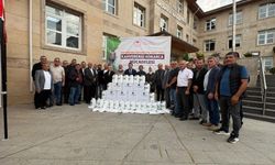 Fındığın korkulu rüyası; ilçede "Kokarca" alarmı verildi!