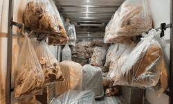 Mide bulandıran görüntü 2 ton 809 kilo et ve sakatat yakalandı