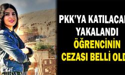 PKK’ya katılacağı sırada yakalanan öğrenciye hapis cezası