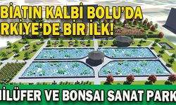  Türkiye’nin İlk Bonsai Serası ve En Büyük Nilüfer Havuzu Bolu’da Kuruluyor