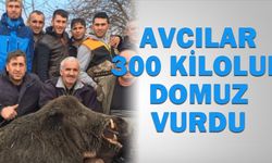Avcılar 300 kiloluk domuz vurdu