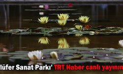 ‘Nilüfer Sanat Parkı’ TRT Haber canlı yayınında
