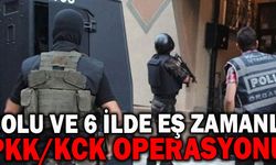 7 İLDE EŞ ZAMANLI PKK OPERASYONU