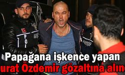 Papağana işkence yapan Murat Özdemir gözaltına alındı