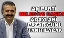 AK Parti belediye başkan adayları Pazar günü tanıtılacak 