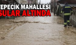 TEPECİK MAHALLESİ SULAR ALTINDA